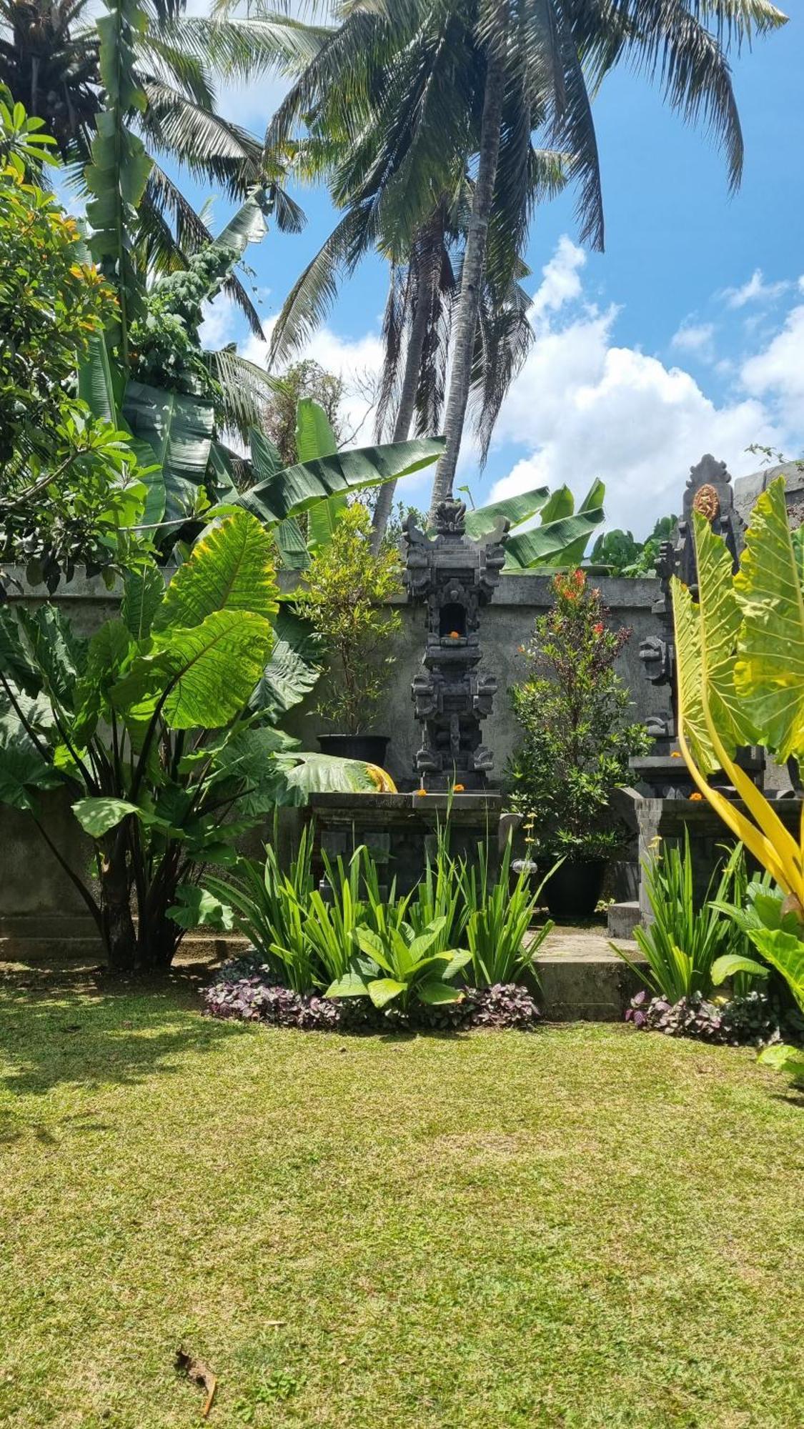 New 4 Bedroom Villa Surrounded By Jungle And Ricefields Ubud  Exterior photo