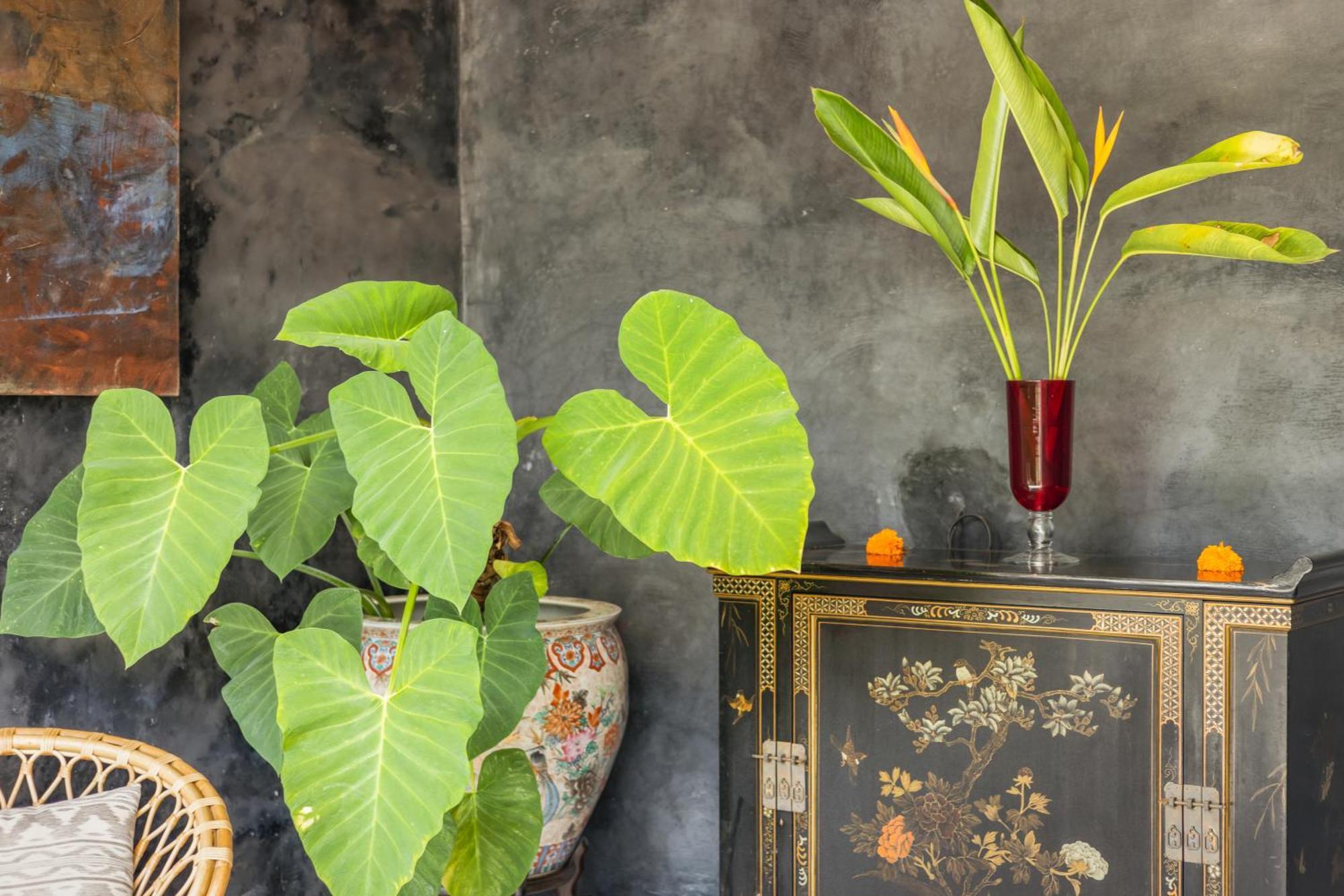 New 4 Bedroom Villa Surrounded By Jungle And Ricefields Ubud  Exterior photo